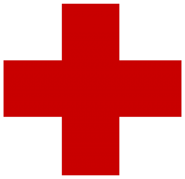 the-magnanimity-of-the-red-cross-amita-vadlamudi